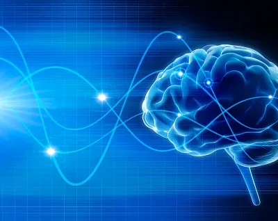 human brain and neural nerve connections